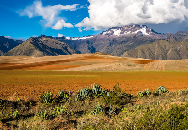 Bolivia